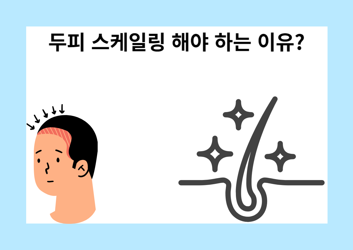 두피 스케일링 해야 하는 이유