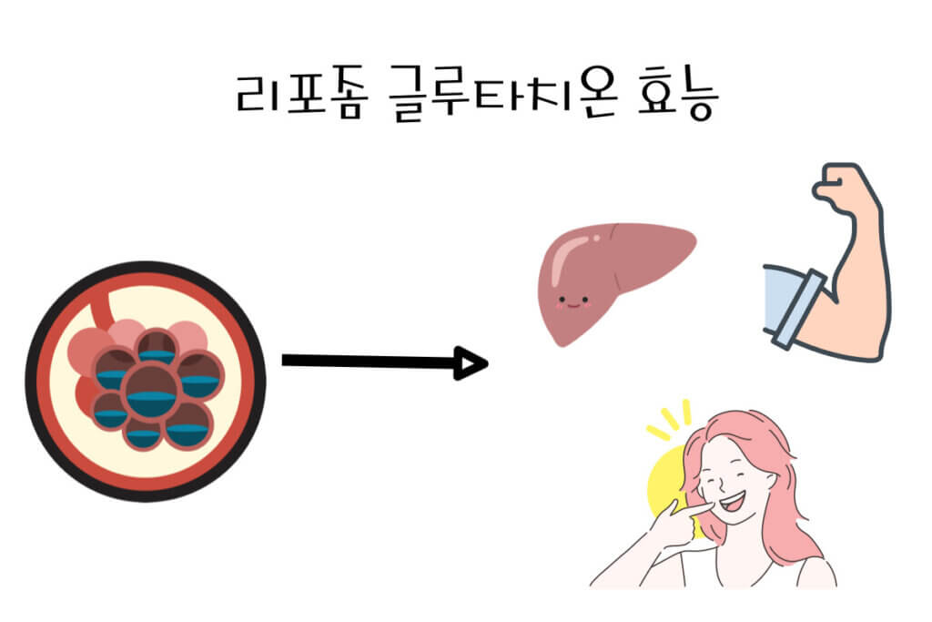 리포좀 글루타치온 효능